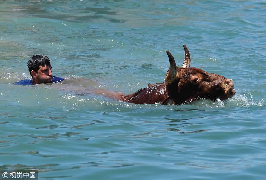 勇敢者游戏活动,勇敢者的冒险游戏