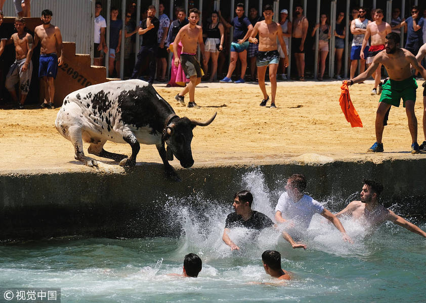 勇敢者游戏活动,勇敢者的冒险游戏