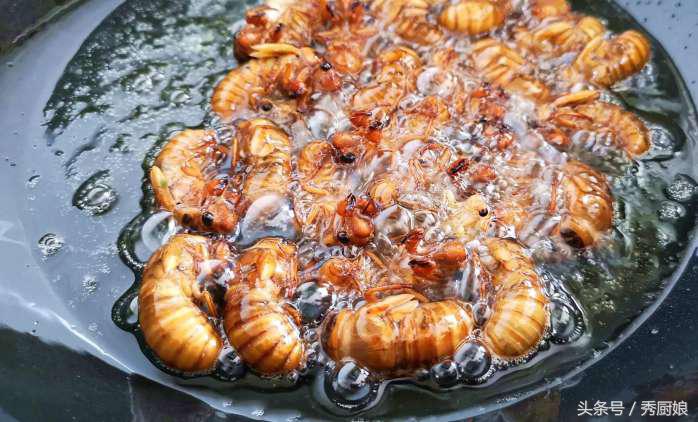 知了猴的最佳吃法,知了猴怎么做法才好吃