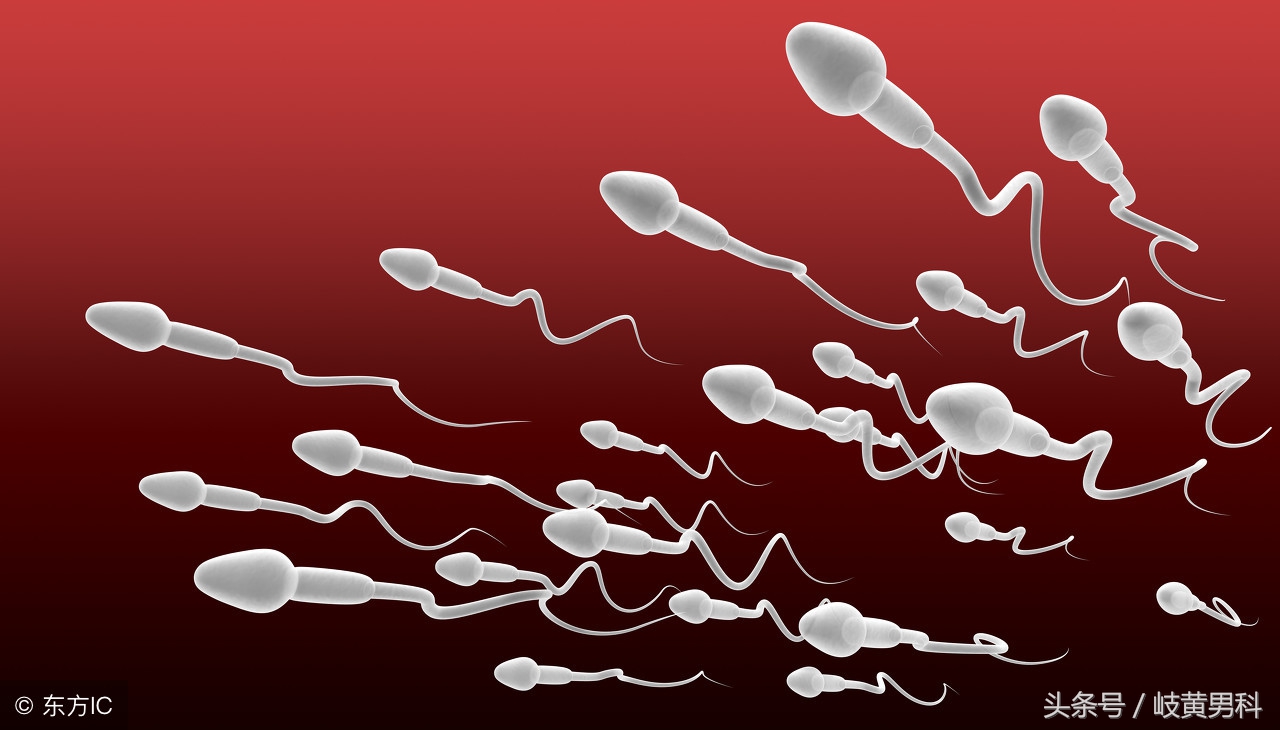 精子分析怎么做的,精子分析怎么操作