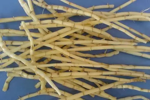 不同年龄段的童年回忆,你们的童年回忆是什么样