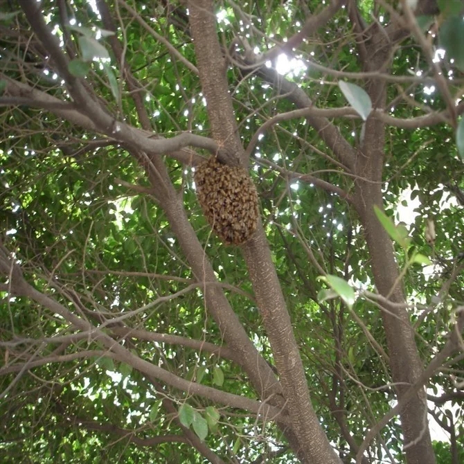不同年龄段的童年回忆,你们的童年回忆是什么样