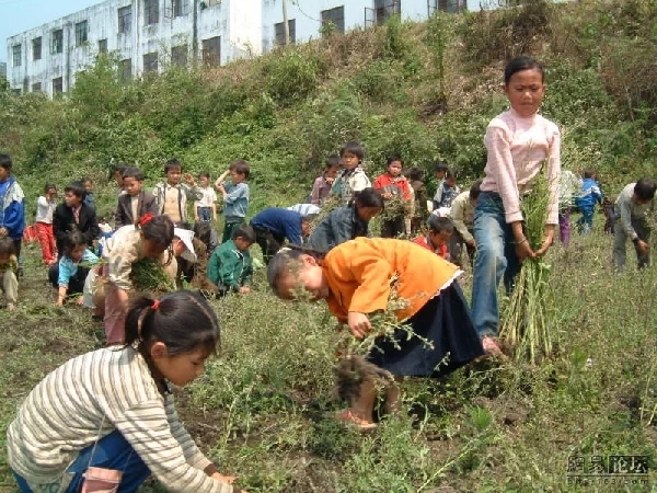 不同年龄段的童年回忆,你们的童年回忆是什么样