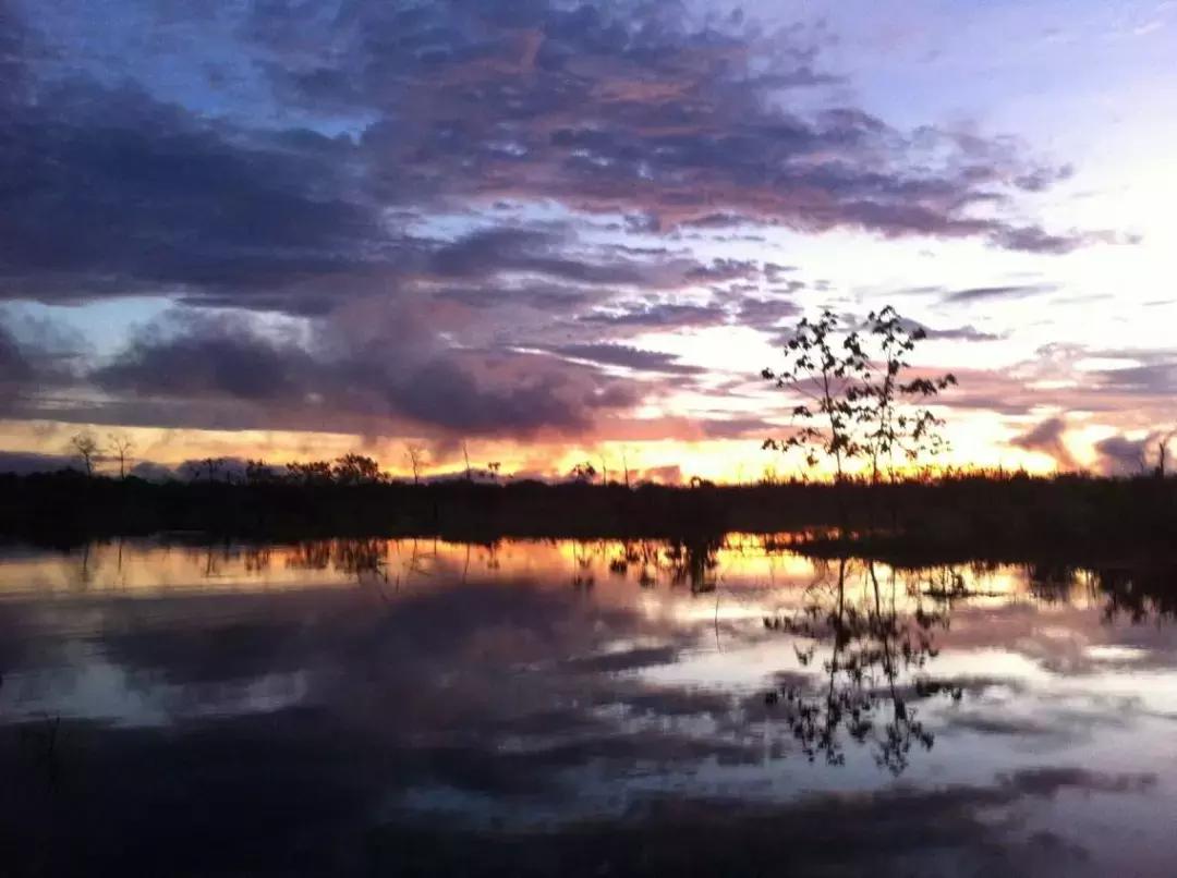 世界上最好的生物炭,世界上的生物炭
