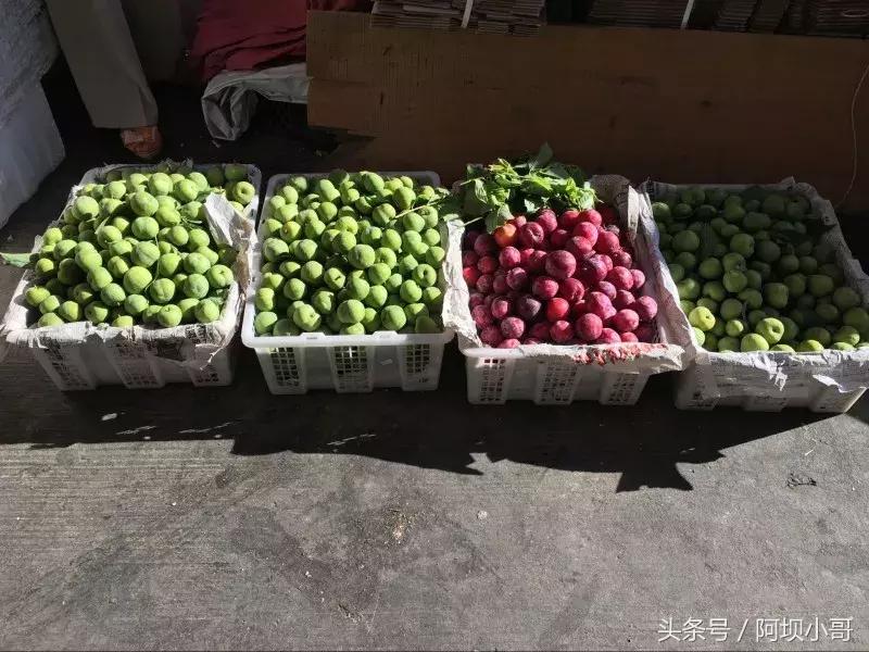 相约盛夏七月，康养汶川的李子熟了！花椒红了！