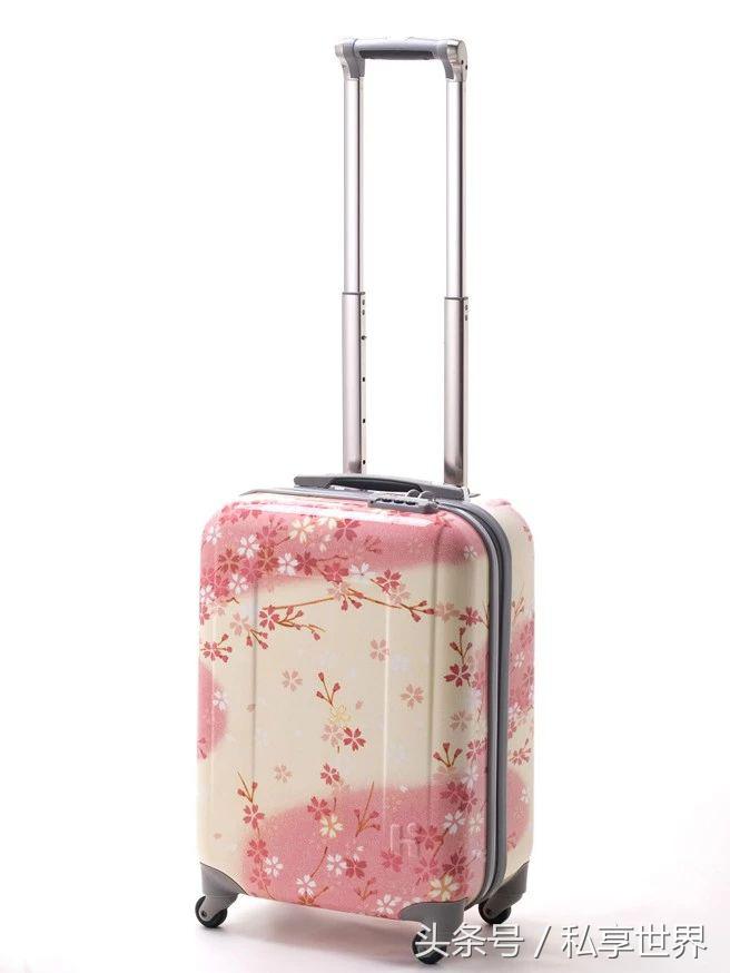 旅游行李箱的必备清单,夏季旅行带哪些行李比较好