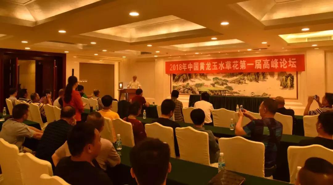 黄龙玉水草花亮点,顶级黄龙玉水草花