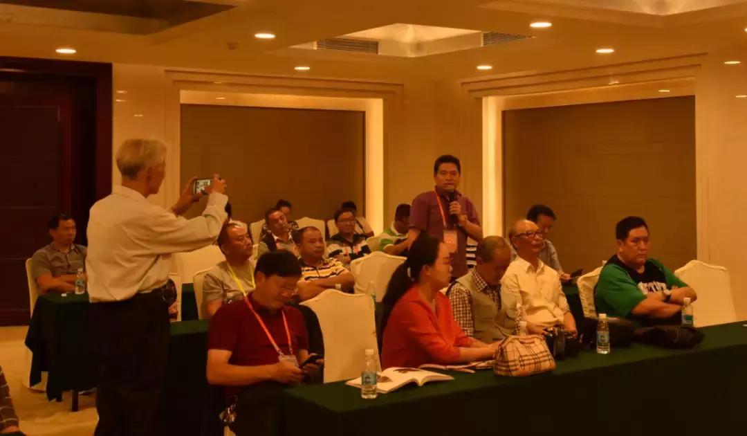 黄龙玉水草花亮点,顶级黄龙玉水草花