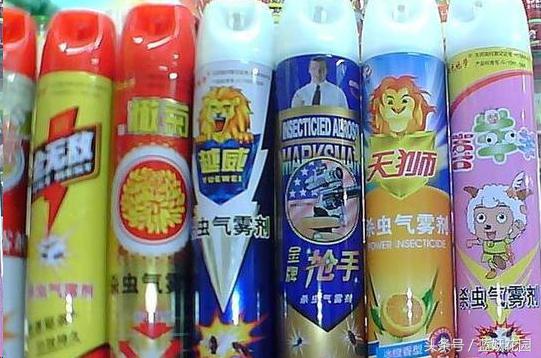 养花小黑飞怎么消灭最彻底,阳台种花怎么防止小黑飞