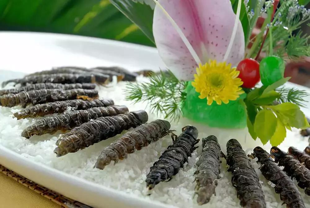 中国四川旅游看世界级的美景和可爱大熊猫,品尝当地火辣的美食!