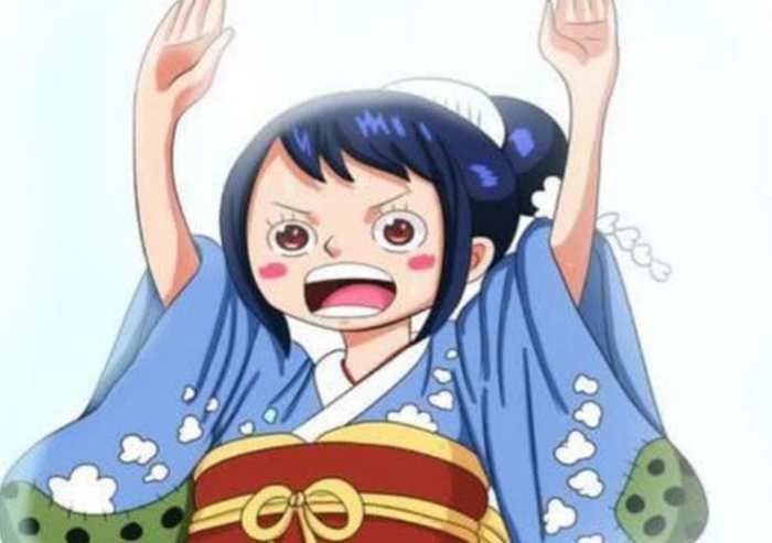 海贼王女性角色恶魔果实能力者,海贼王四个萝莉谁最强