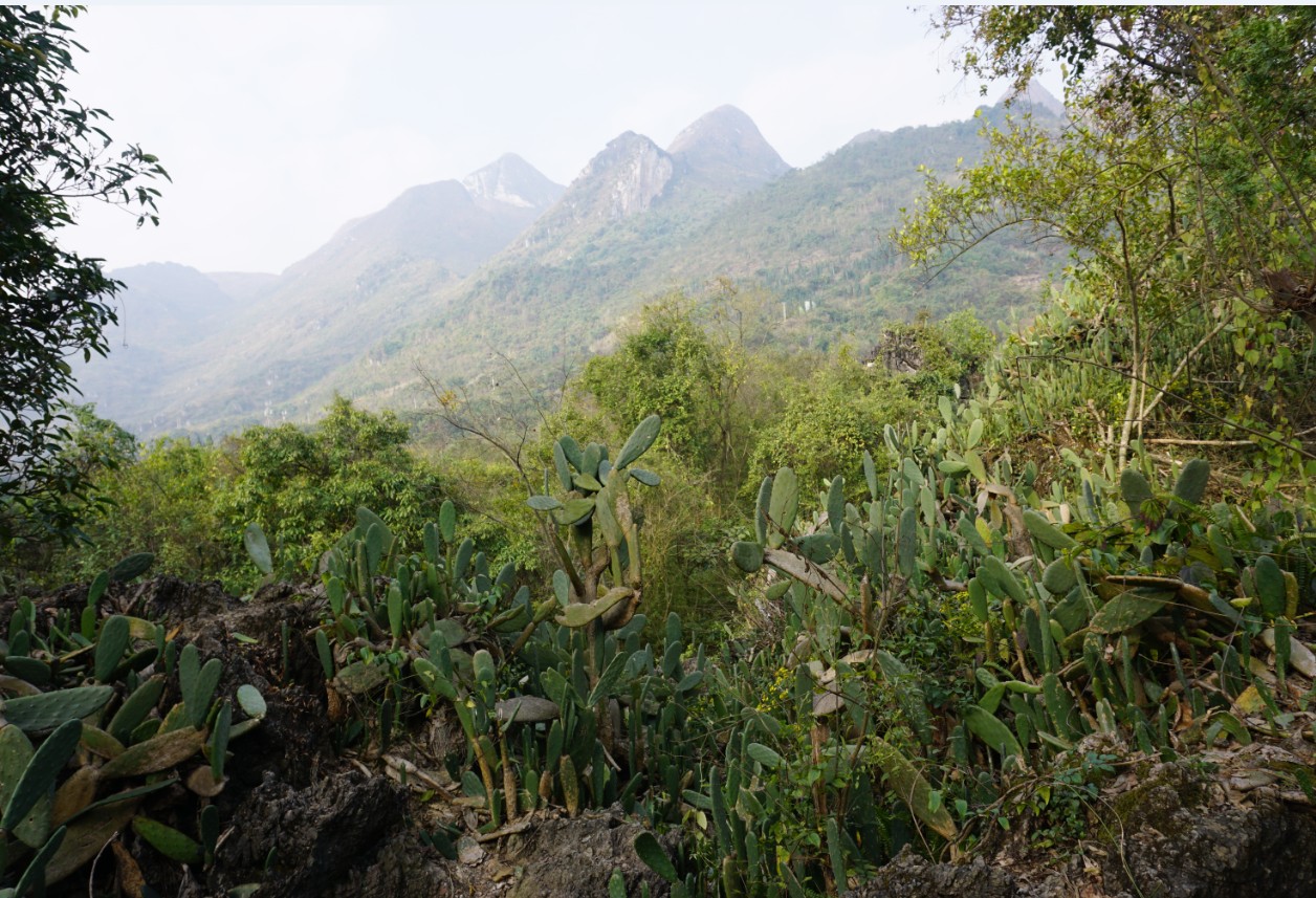 多彩贵州行——黄果树风景区之灵魂玲珑秀美“天星桥”