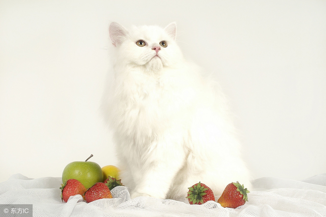 更年期提前的预兆是什么,专家提醒更年期有4件事