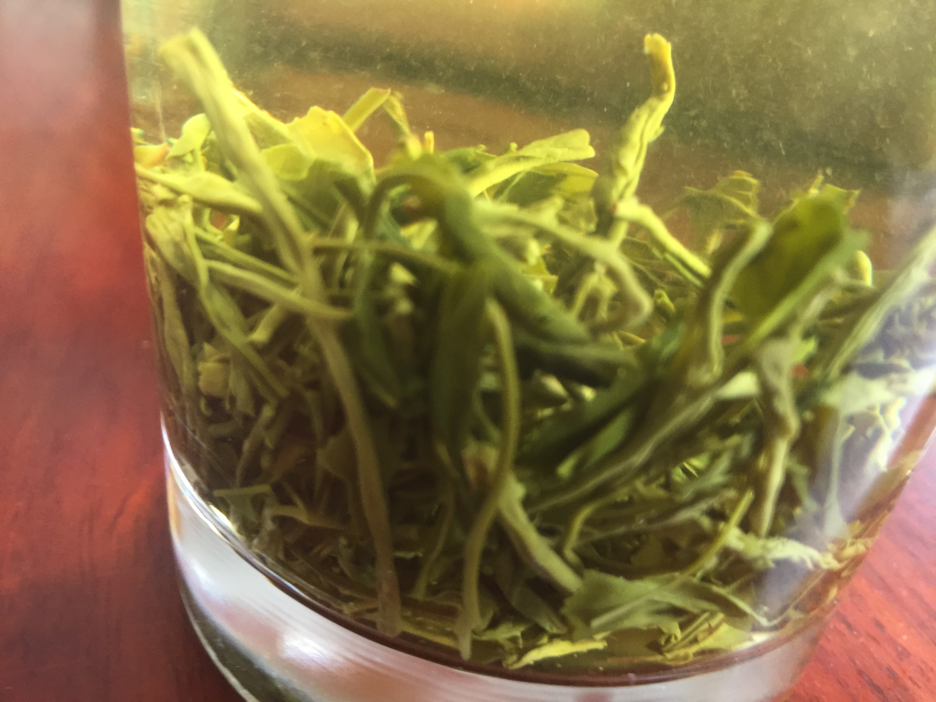 婺源绿茶品种,婺源高山绿茶价格