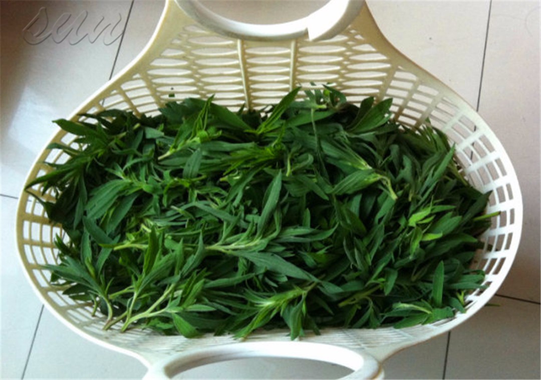 乡下搞野菜做蒿子粑粑,农村有哪些野菜可以做美食