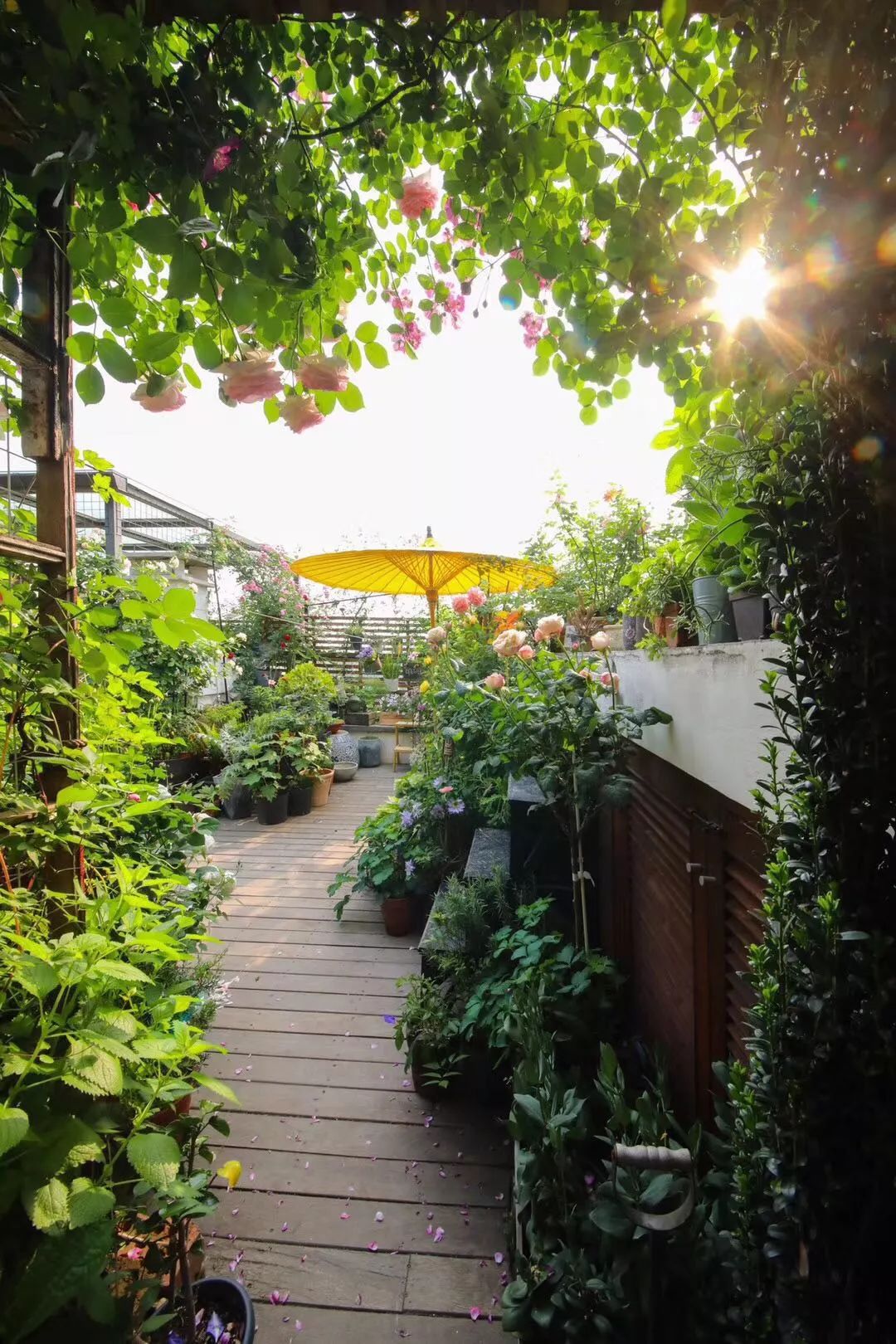 39岁，她不安分得很漂亮天台折腾两年，随后发出的照片，惊艳了所有人