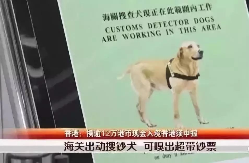 香港7月通关政策,第一次去香港哪些是违规罚款的