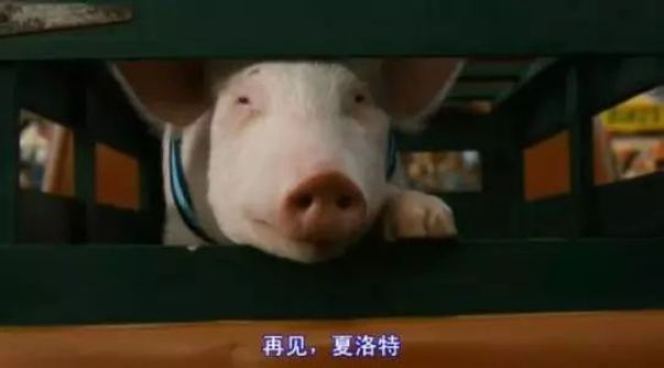 暑假一定要给孩子看这6部电影,暑假必须给孩子看的八个电视