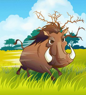 猪组成球队与天之骄子的足球比赛