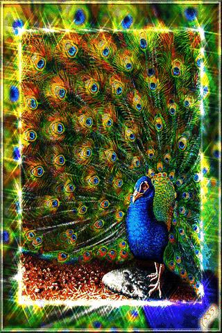 快乐的周一和朋友逛街,朋友周一快乐