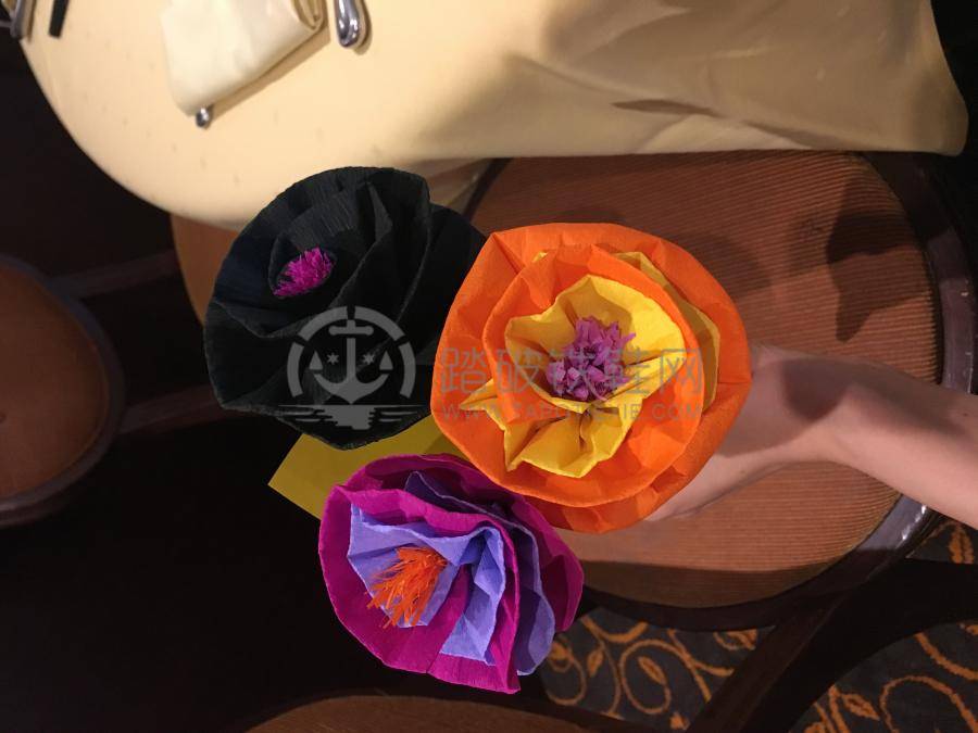 辉煌号邮轮航行,辉煌号游轮攻略