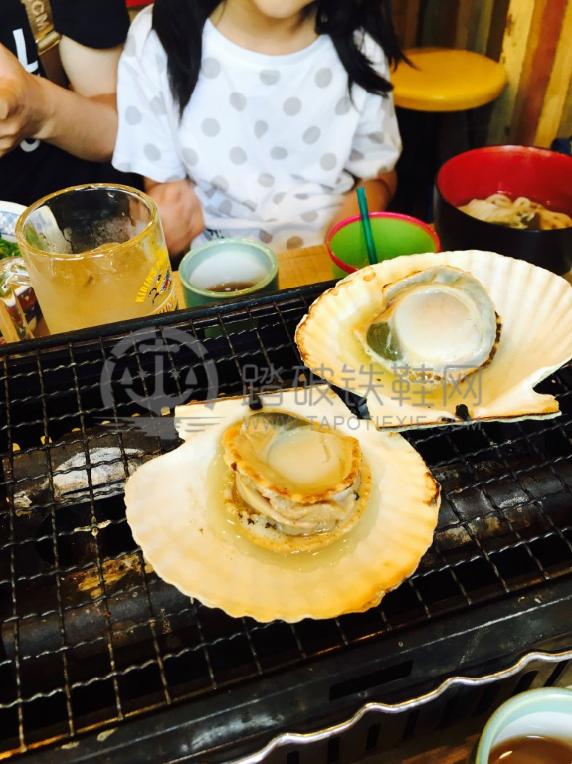 辉煌号邮轮航行,辉煌号游轮攻略