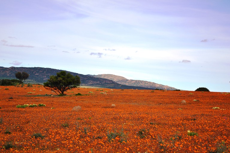 跟着访问非洲去旅游——彩虹之国南非