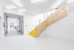 韶关哪个区小学多,韶关市有几所省重点小学