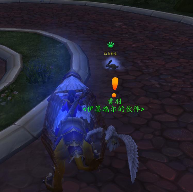 达拉然隐藏小宠物,魔兽世界7.0达拉然纳特帕格npc