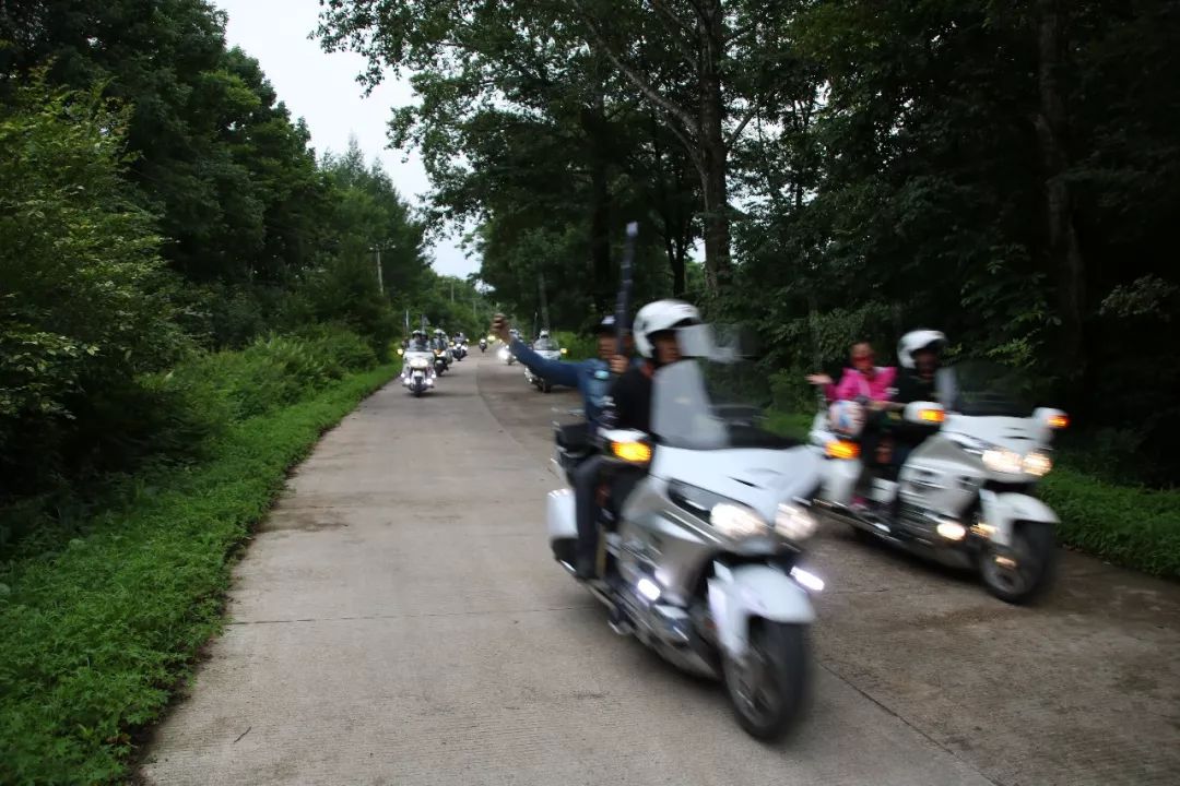 伊春露营大会直播,第二届伊春森林冰雪欢乐节开幕式