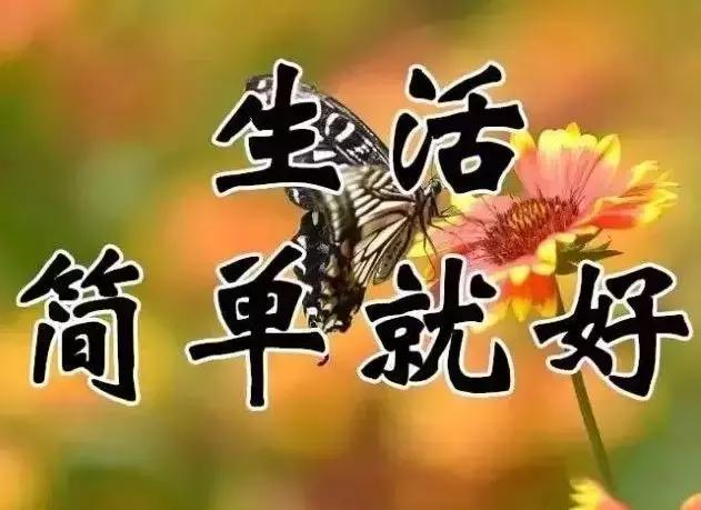 祝你天天快乐早上好图片,祝大家早上好天天有个好心情