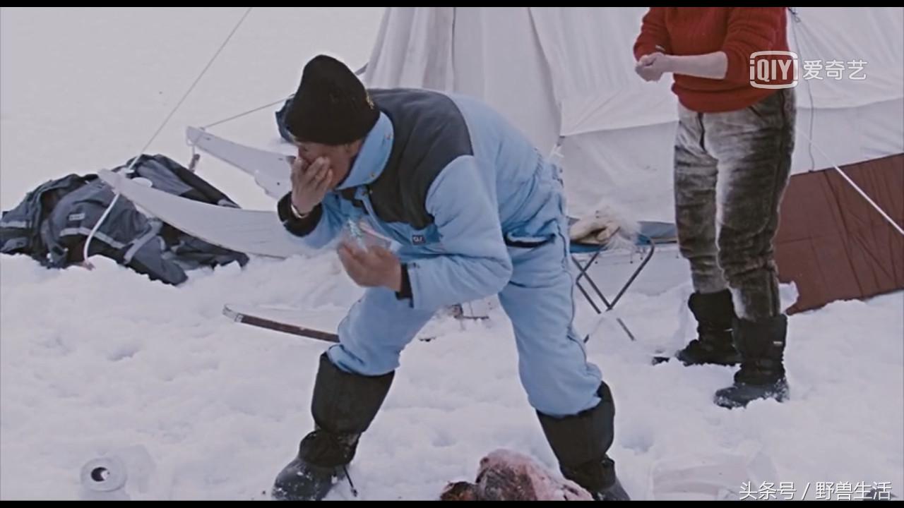 世界上有哪些人类禁地,世界上有秘境吗