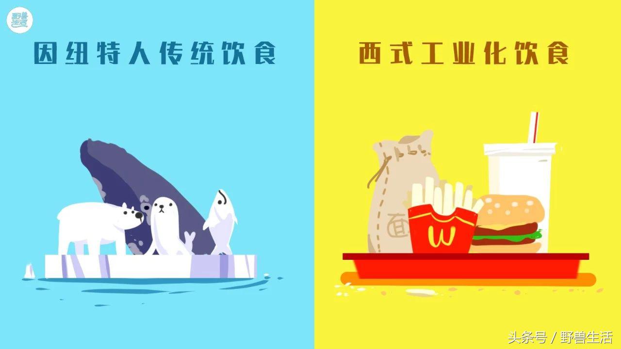 世界上最值得去的秘境,世界上南端的一处秘境