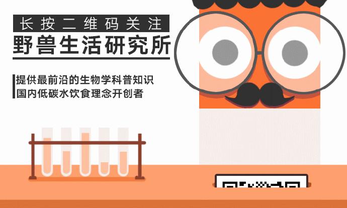 世界上有哪些人类禁地,世界上有秘境吗