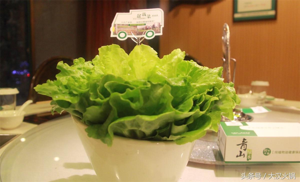 田园采摘小菜园,纯天然绿色小菜园采摘