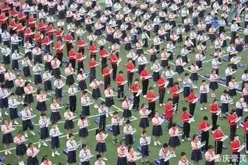 重庆渝北区小学划片一览表2021,重庆九龙坡区小学划片一览表