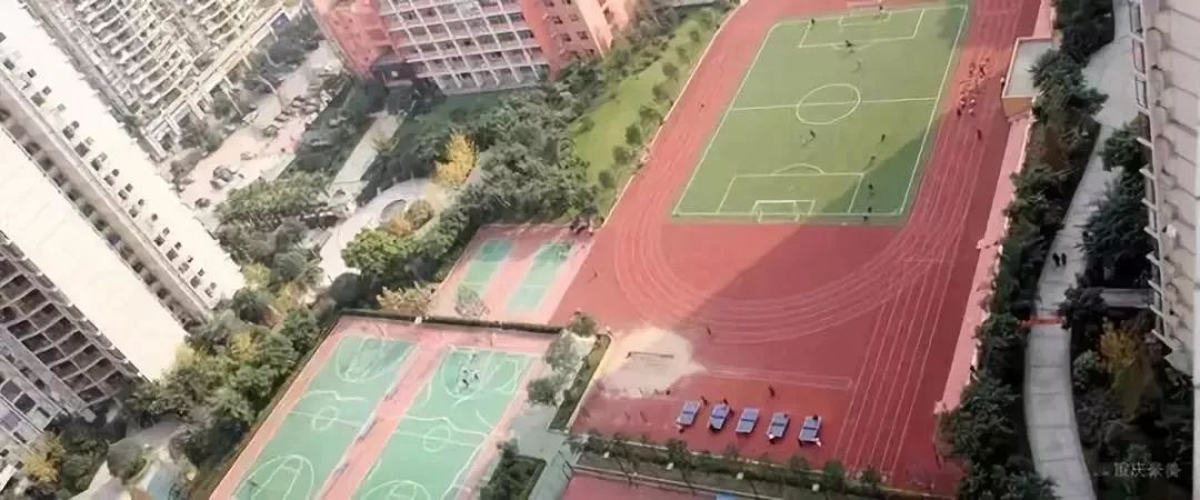 重庆南岸区2021小学划片一览表,重庆谢家湾小学划片2021
