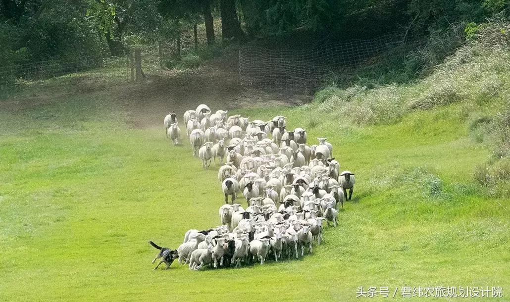 亲子牧场的标杆，看看这家年入2亿的母亲牧场是怎么做到的