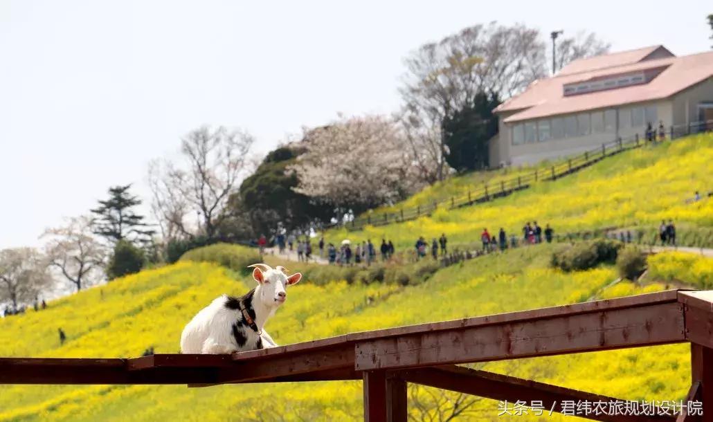 亲子牧场的标杆，看看这家年入2亿的母亲牧场是怎么做到的