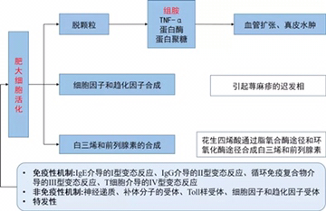 慢性荨麻疹如何正确联合用药,慢性荨麻疹的最佳治疗方法