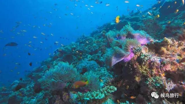 马尔代夫选岛攻略专治选岛困难症,马尔代夫如何选岛