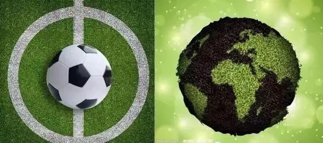 世界杯关于健康的话题,世界杯结束感想