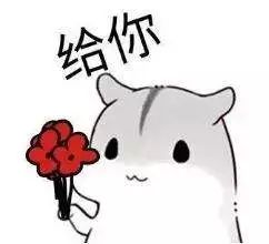 彩票巨额事件,一个彩民因为购买彩票赔了几十万