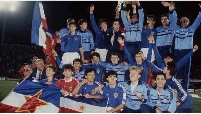 克罗地亚与前南斯拉夫,南斯拉夫对克罗地亚有多重要