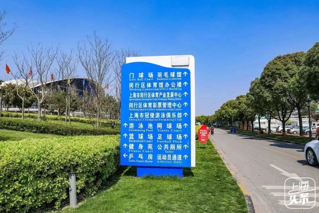 向日葵花海上海旅游攻略,上海市中心有一片向日葵花海