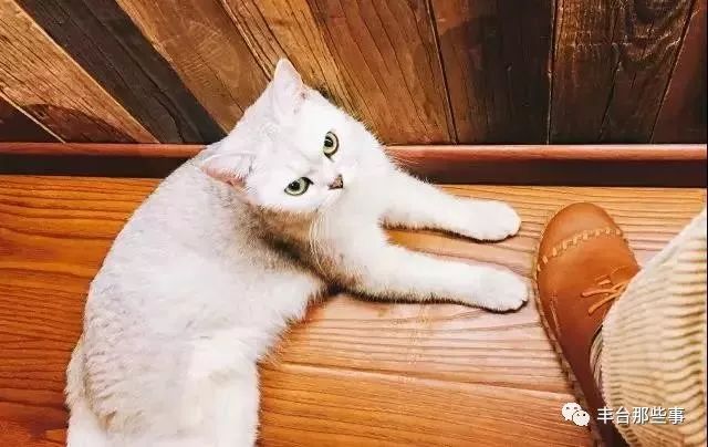 北京帝都美食一条街,63个老字号美食街