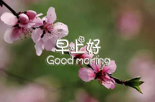 早上好祝福语优美句子图片大全,早上好祝福语优美句子冬天