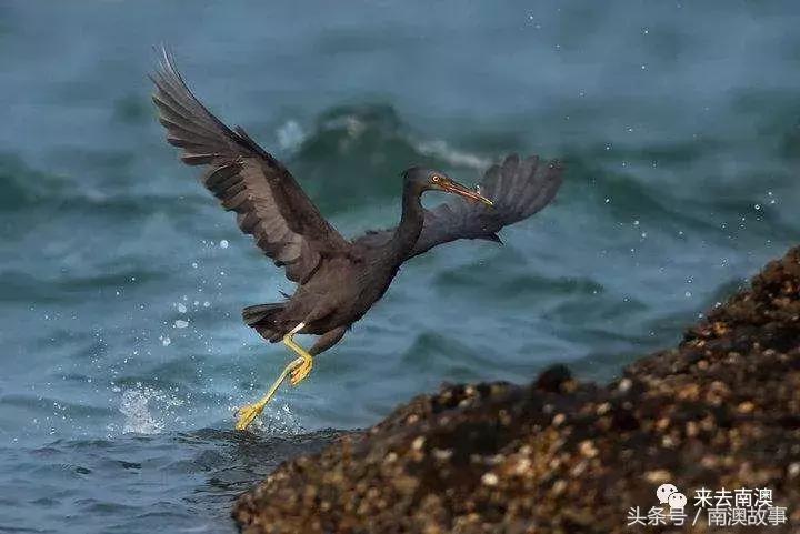 这座小岛究竟隐藏了多少秘密,一座鲜为人知的隐藏小岛