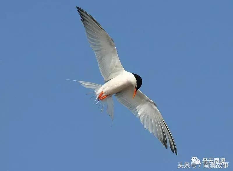 这座小岛究竟隐藏了多少秘密,一座鲜为人知的隐藏小岛