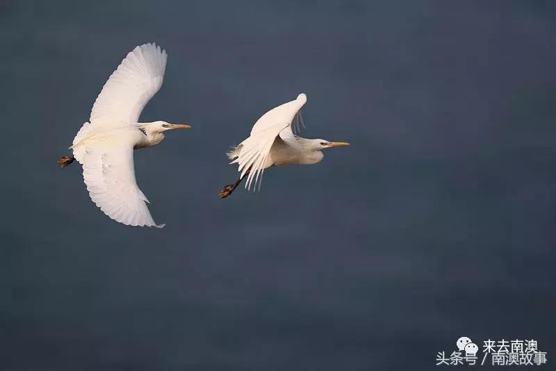 这座小岛究竟隐藏了多少秘密,一座鲜为人知的隐藏小岛